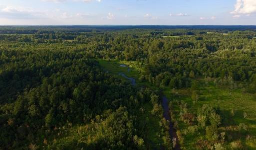 Photo of UNDER CONTRACT!  104 Acres of Timber Land For Sale in Franklin County NC!