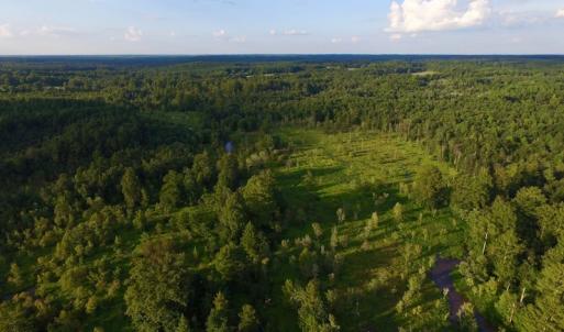 Photo of UNDER CONTRACT!  104 Acres of Timber Land For Sale in Franklin County NC!