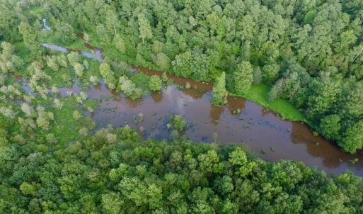 Photo of UNDER CONTRACT!  104 Acres of Timber Land For Sale in Franklin County NC!