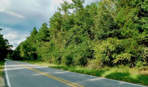 Photo of UNDER CONTRACT!  104 Acres of Timber Land For Sale in Franklin County NC!
