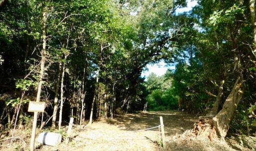 Photo of UNDER CONTRACT!  104 Acres of Timber Land For Sale in Franklin County NC!