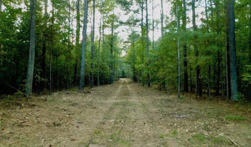 Photo of UNDER CONTRACT!  104 Acres of Timber Land For Sale in Franklin County NC!