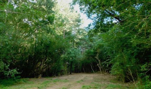 Photo of UNDER CONTRACT!  104 Acres of Timber Land For Sale in Franklin County NC!