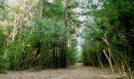Photo of UNDER CONTRACT!  104 Acres of Timber Land For Sale in Franklin County NC!