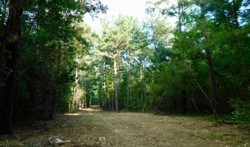 Photo of UNDER CONTRACT!  104 Acres of Timber Land For Sale in Franklin County NC!