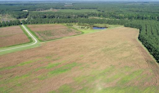 Photo of UNDER CONTRACT!  650 Acres of Farm and Timber Land For Sale in Halifax County NC!