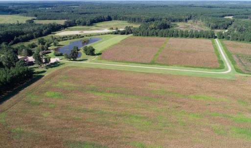 Photo of UNDER CONTRACT!  650 Acres of Farm and Timber Land For Sale in Halifax County NC!