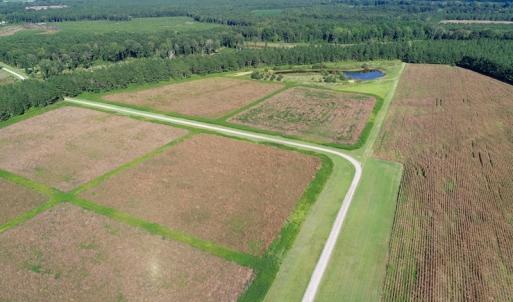 Photo of UNDER CONTRACT!  650 Acres of Farm and Timber Land For Sale in Halifax County NC!