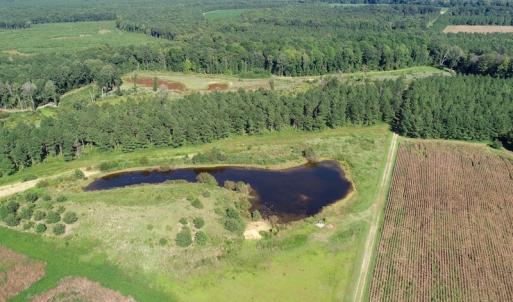 Photo of UNDER CONTRACT!  650 Acres of Farm and Timber Land For Sale in Halifax County NC!