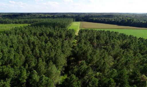 Photo of UNDER CONTRACT!  650 Acres of Farm and Timber Land For Sale in Halifax County NC!
