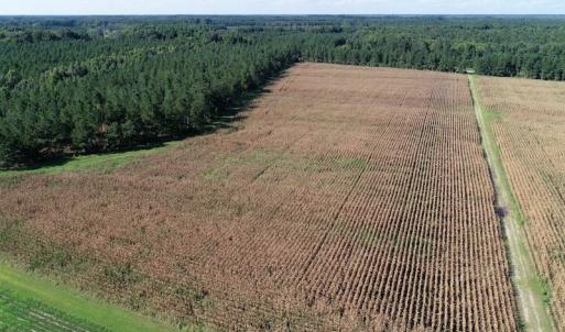 Photo of UNDER CONTRACT!  650 Acres of Farm and Timber Land For Sale in Halifax County NC!