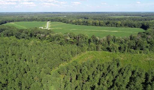 Photo of UNDER CONTRACT!  650 Acres of Farm and Timber Land For Sale in Halifax County NC!