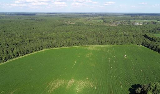 Photo of UNDER CONTRACT!  650 Acres of Farm and Timber Land For Sale in Halifax County NC!