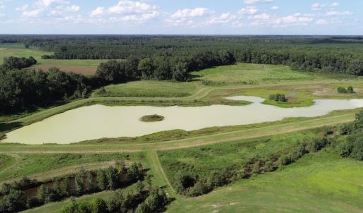 Photo of UNDER CONTRACT!  650 Acres of Farm and Timber Land For Sale in Halifax County NC!