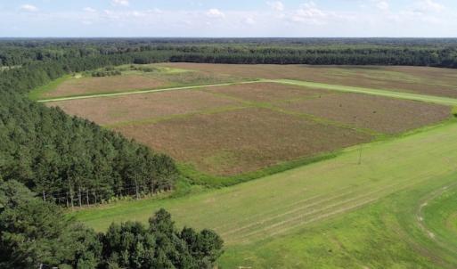 Photo of UNDER CONTRACT!  650 Acres of Farm and Timber Land For Sale in Halifax County NC!