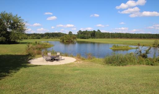 Photo of UNDER CONTRACT!  650 Acres of Farm and Timber Land For Sale in Halifax County NC!
