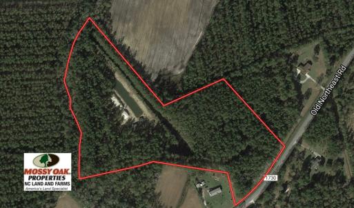Photo of UNDER CONTRACT!  16 Acres of Hunting and Timber Land For Sale in Columbus County NC!