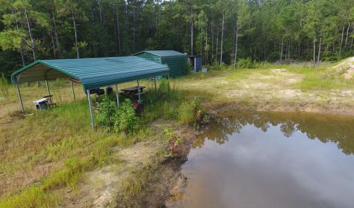 Photo of UNDER CONTRACT!  16 Acres of Hunting and Timber Land For Sale in Columbus County NC!