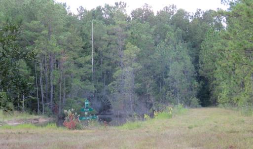 Photo of UNDER CONTRACT!  16 Acres of Hunting and Timber Land For Sale in Columbus County NC!