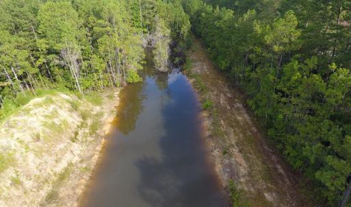 Photo of UNDER CONTRACT!  16 Acres of Hunting and Timber Land For Sale in Columbus County NC!