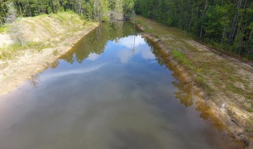 Photo of UNDER CONTRACT!  16 Acres of Hunting and Timber Land For Sale in Columbus County NC!