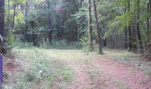Photo of UNDER CONTRACT!  16 Acres of Hunting and Timber Land For Sale in Columbus County NC!