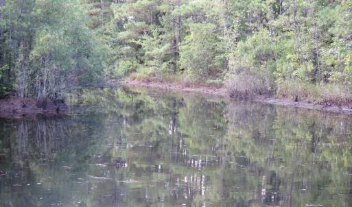 Photo of UNDER CONTRACT!  16 Acres of Hunting and Timber Land For Sale in Columbus County NC!