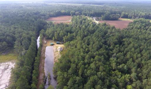 Photo of UNDER CONTRACT!  16 Acres of Hunting and Timber Land For Sale in Columbus County NC!