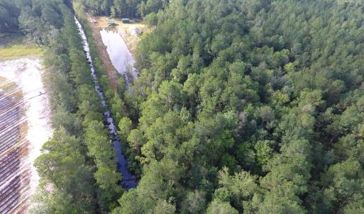 Photo of UNDER CONTRACT!  16 Acres of Hunting and Timber Land For Sale in Columbus County NC!