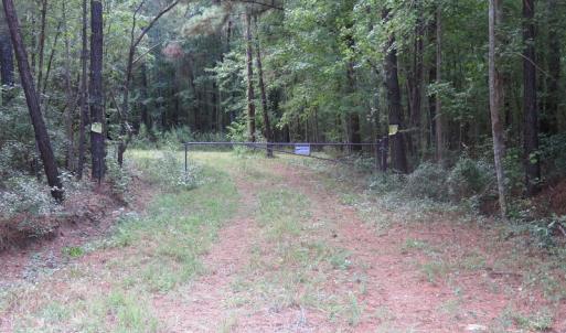 Photo of UNDER CONTRACT!  16 Acres of Hunting and Timber Land For Sale in Columbus County NC!