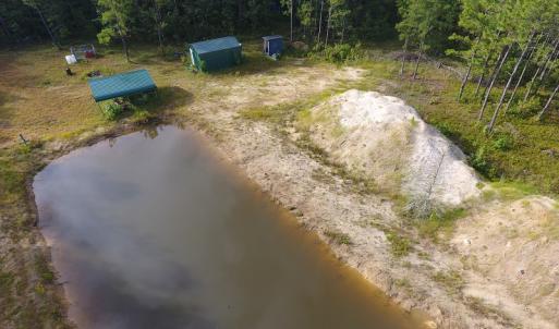 Photo of UNDER CONTRACT!  16 Acres of Hunting and Timber Land For Sale in Columbus County NC!