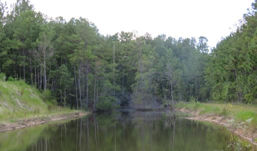 Photo of UNDER CONTRACT!  16 Acres of Hunting and Timber Land For Sale in Columbus County NC!