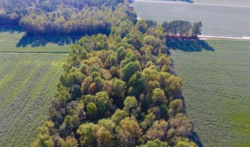 Photo of UNDER CONTRACT!  61.43 Acres of Farm and Timber Land For Sale in Wilson County NC!