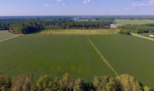 Photo of UNDER CONTRACT!  61.43 Acres of Farm and Timber Land For Sale in Wilson County NC!