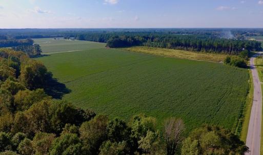 Photo of UNDER CONTRACT!  61.43 Acres of Farm and Timber Land For Sale in Wilson County NC!