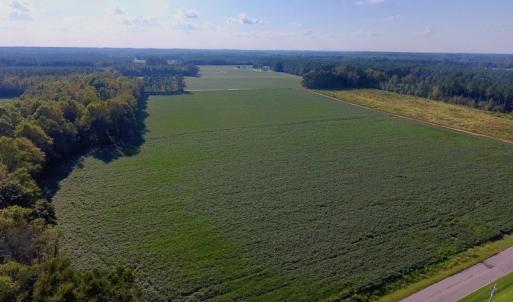 Photo of UNDER CONTRACT!  61.43 Acres of Farm and Timber Land For Sale in Wilson County NC!