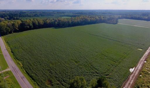 Photo of UNDER CONTRACT!  61.43 Acres of Farm and Timber Land For Sale in Wilson County NC!