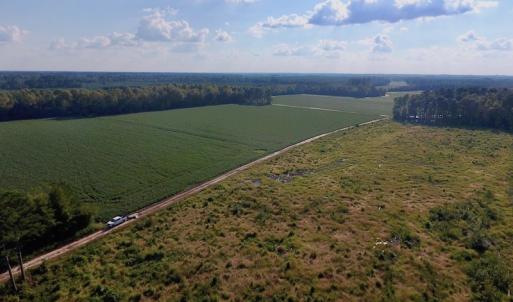 Photo of UNDER CONTRACT!  61.43 Acres of Farm and Timber Land For Sale in Wilson County NC!