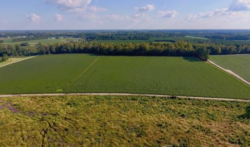 Photo of UNDER CONTRACT!  61.43 Acres of Farm and Timber Land For Sale in Wilson County NC!