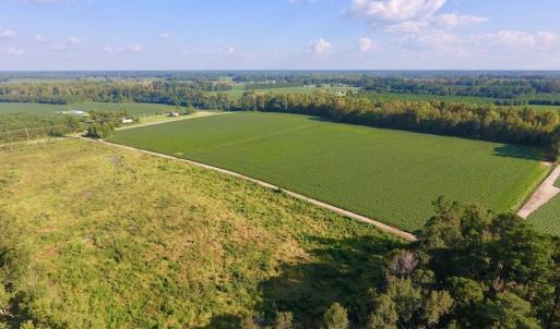 Photo of UNDER CONTRACT!  61.43 Acres of Farm and Timber Land For Sale in Wilson County NC!