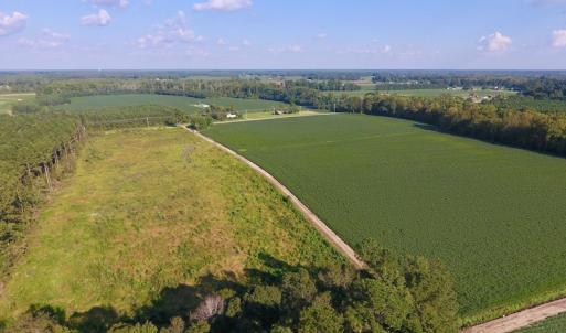Photo of UNDER CONTRACT!  61.43 Acres of Farm and Timber Land For Sale in Wilson County NC!