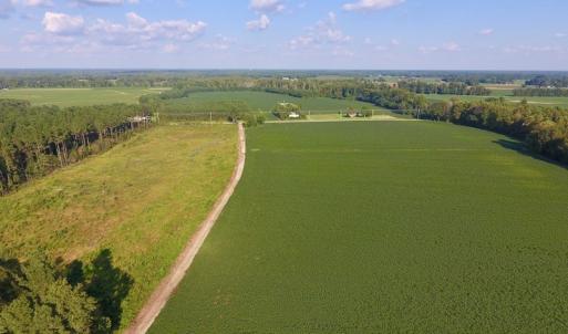 Photo of UNDER CONTRACT!  61.43 Acres of Farm and Timber Land For Sale in Wilson County NC!
