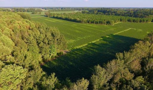 Photo of UNDER CONTRACT!  61.43 Acres of Farm and Timber Land For Sale in Wilson County NC!