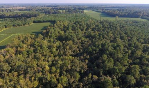 Photo of UNDER CONTRACT!  61.43 Acres of Farm and Timber Land For Sale in Wilson County NC!
