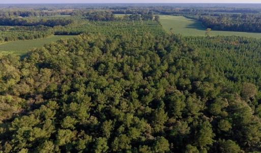 Photo of UNDER CONTRACT!  61.43 Acres of Farm and Timber Land For Sale in Wilson County NC!