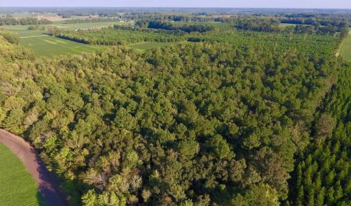 Photo of UNDER CONTRACT!  61.43 Acres of Farm and Timber Land For Sale in Wilson County NC!