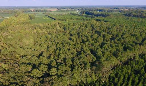 Photo of UNDER CONTRACT!  61.43 Acres of Farm and Timber Land For Sale in Wilson County NC!
