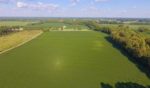 Photo of UNDER CONTRACT!  61.43 Acres of Farm and Timber Land For Sale in Wilson County NC!