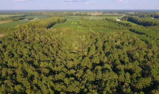Photo of UNDER CONTRACT!  61.43 Acres of Farm and Timber Land For Sale in Wilson County NC!