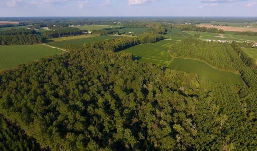 Photo of UNDER CONTRACT!  61.43 Acres of Farm and Timber Land For Sale in Wilson County NC!